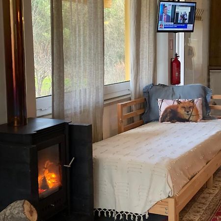 Loft - Casinha A Porta Villa Arouca Luaran gambar